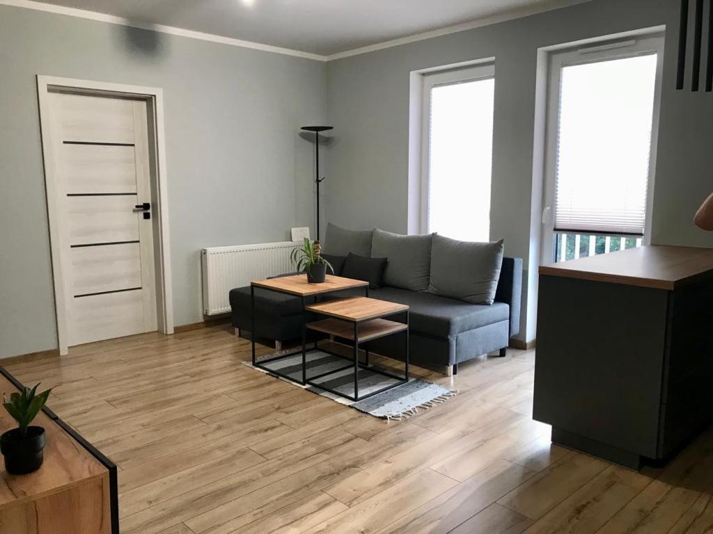 Apartament Debowy Тшчанка Экстерьер фото
